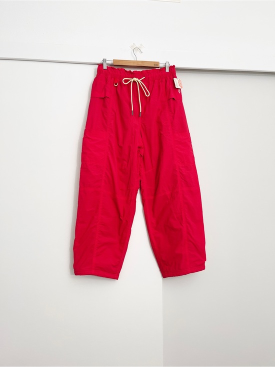 Free People Pants - NWT Free People Movement In The Wild Fleece Lined Hiking Pants Size Medium